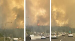 incendi israele