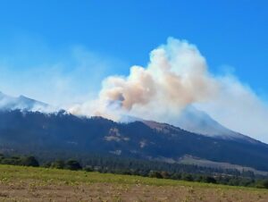 incendi messico