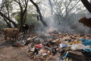 inquinamento india