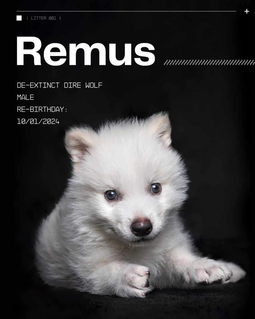 lupi terribili colossal biosciences 3