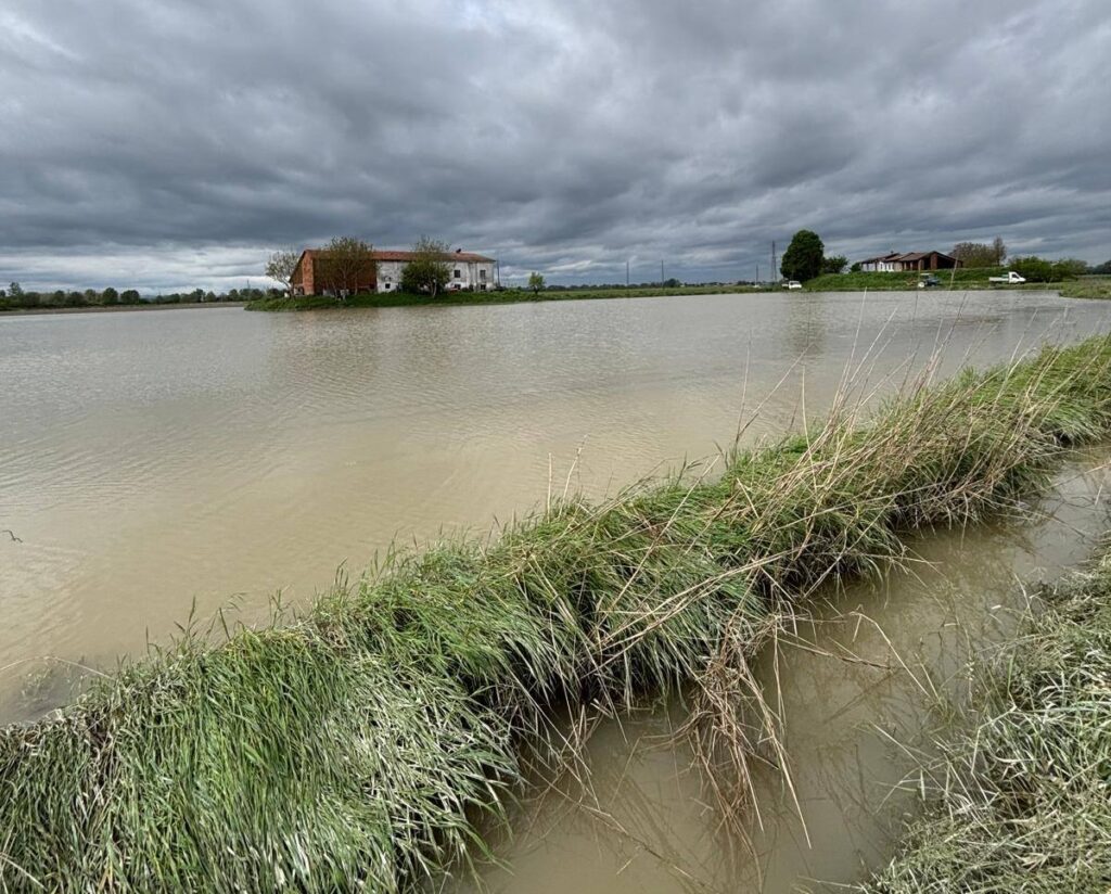 maltempo agricoltura