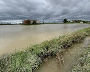 maltempo agricoltura