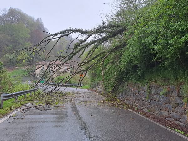 maltempo tollegno piemonte