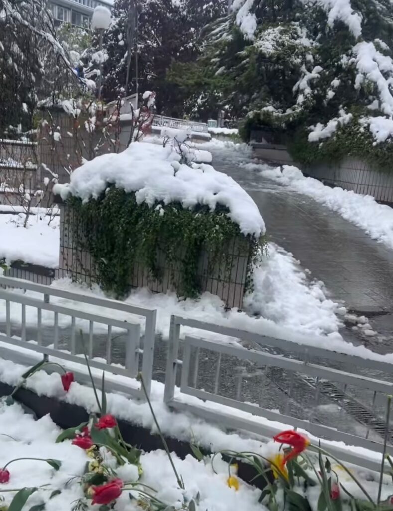 neve sion svizzera