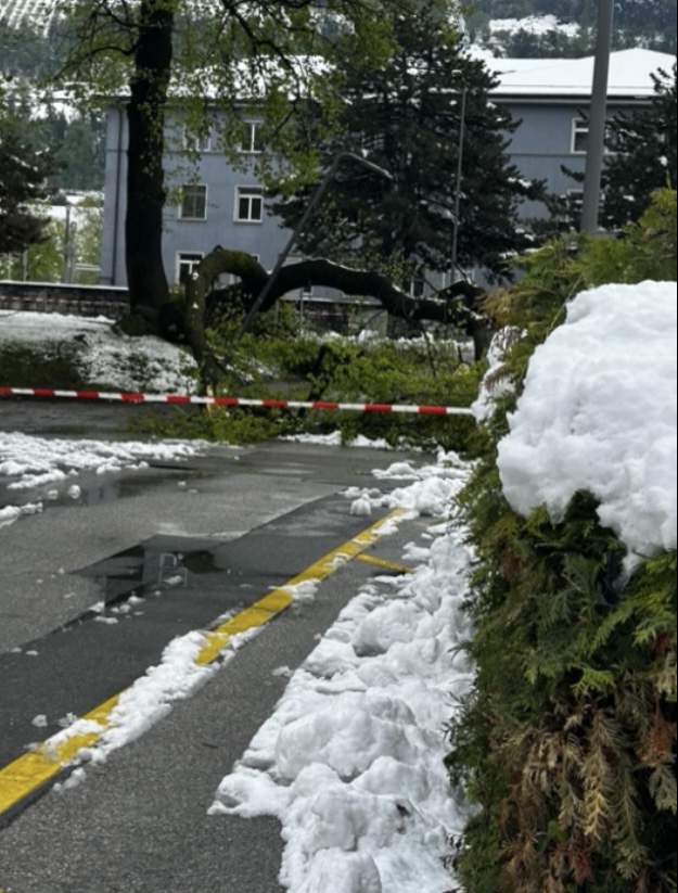 neve sion svizzera