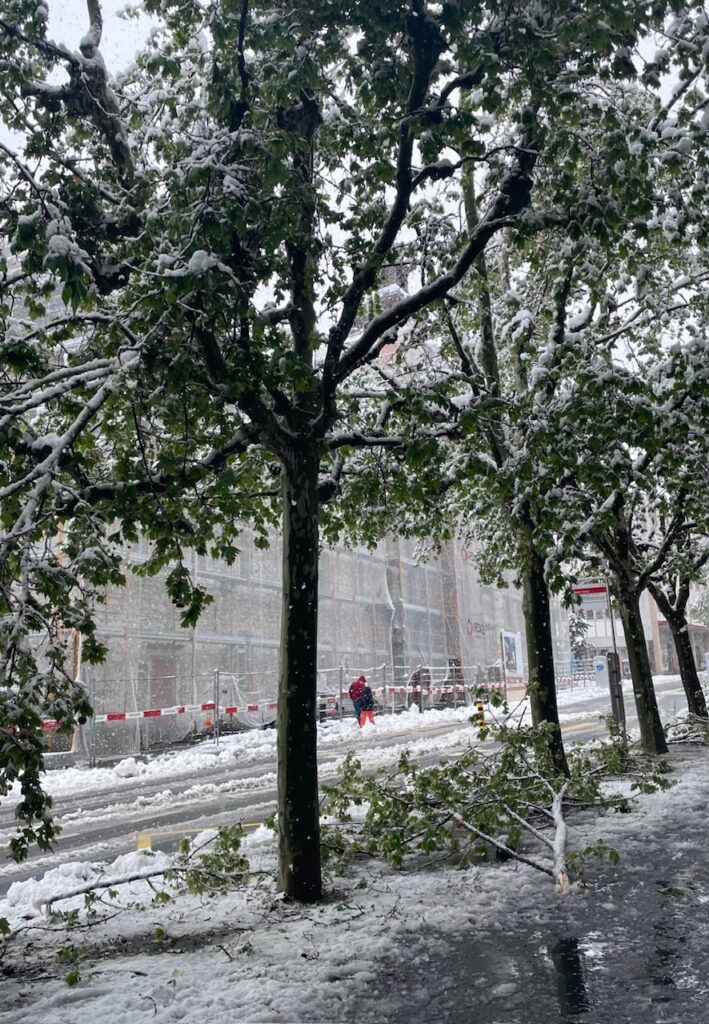 neve sion svizzera