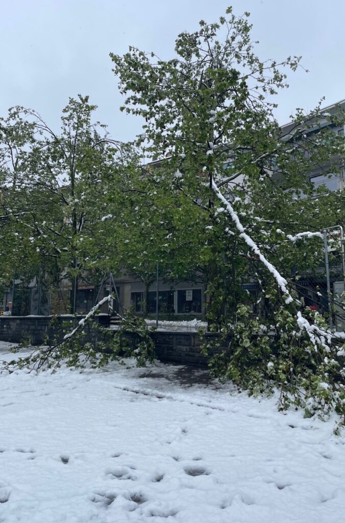 neve sion svizzera