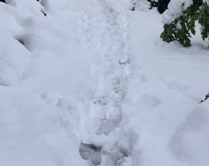 neve sion svizzera