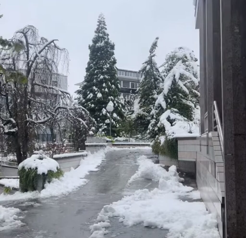 neve sion svizzera