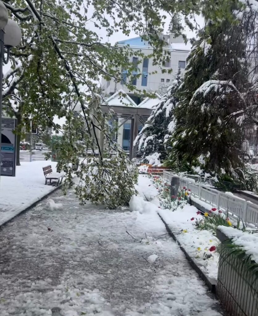 neve sion svizzera