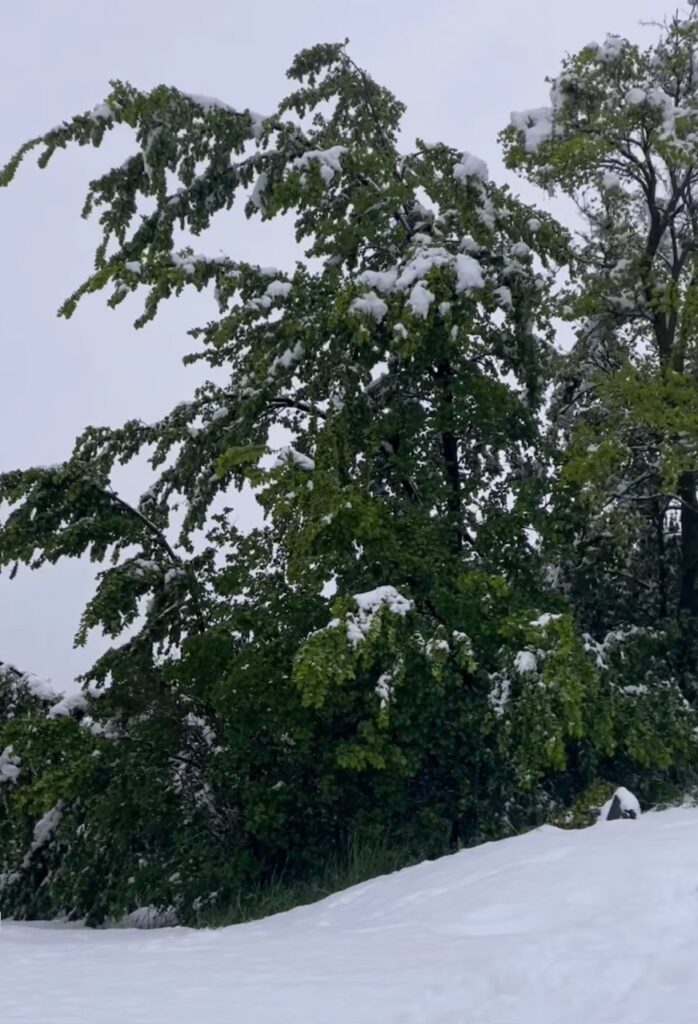 neve sion svizzera