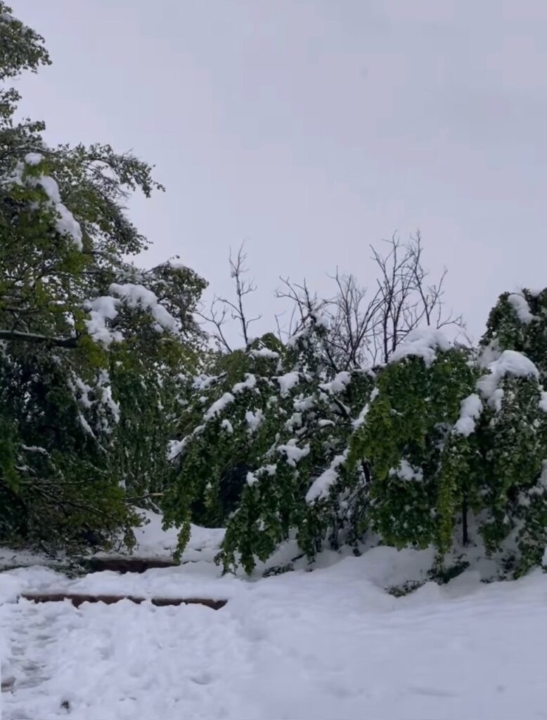 neve sion svizzera