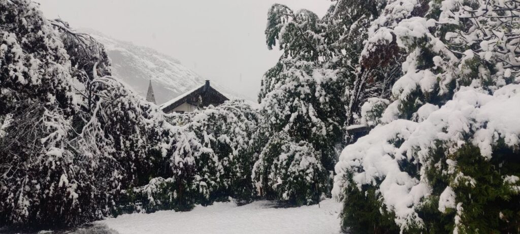neve svizzera oggi alpi