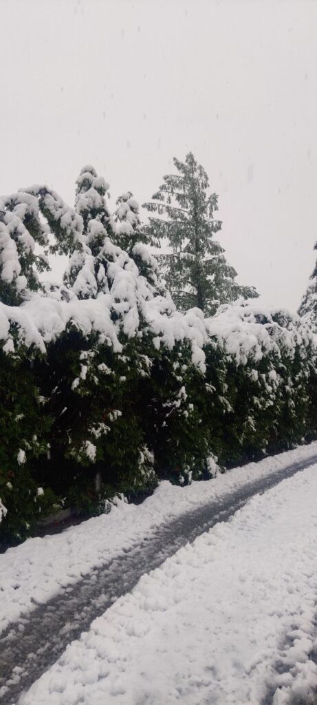 neve svizzera oggi