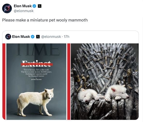 post elon musk