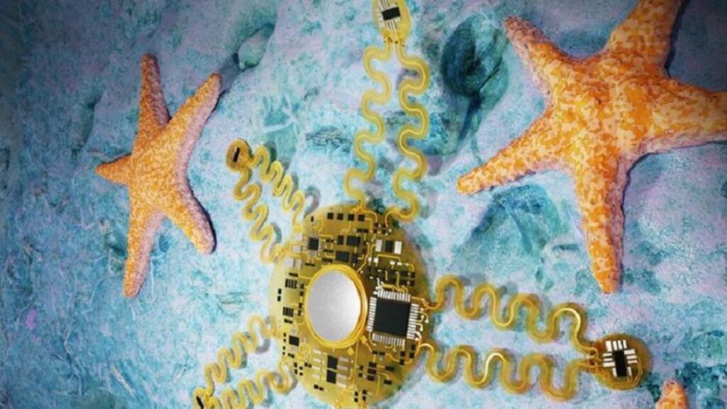 sensori smart stelle marine