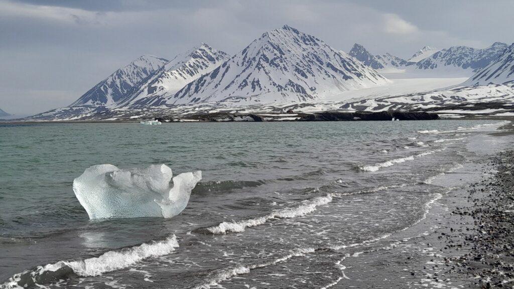 svalbard artico
