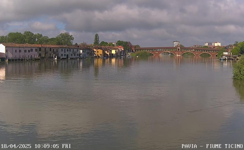 ticino pavia
