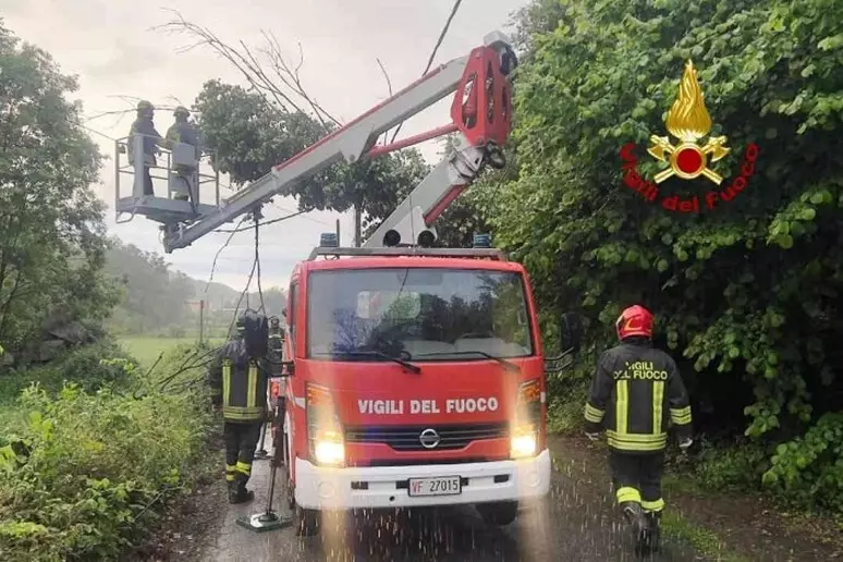 vento albero vigili fuoco