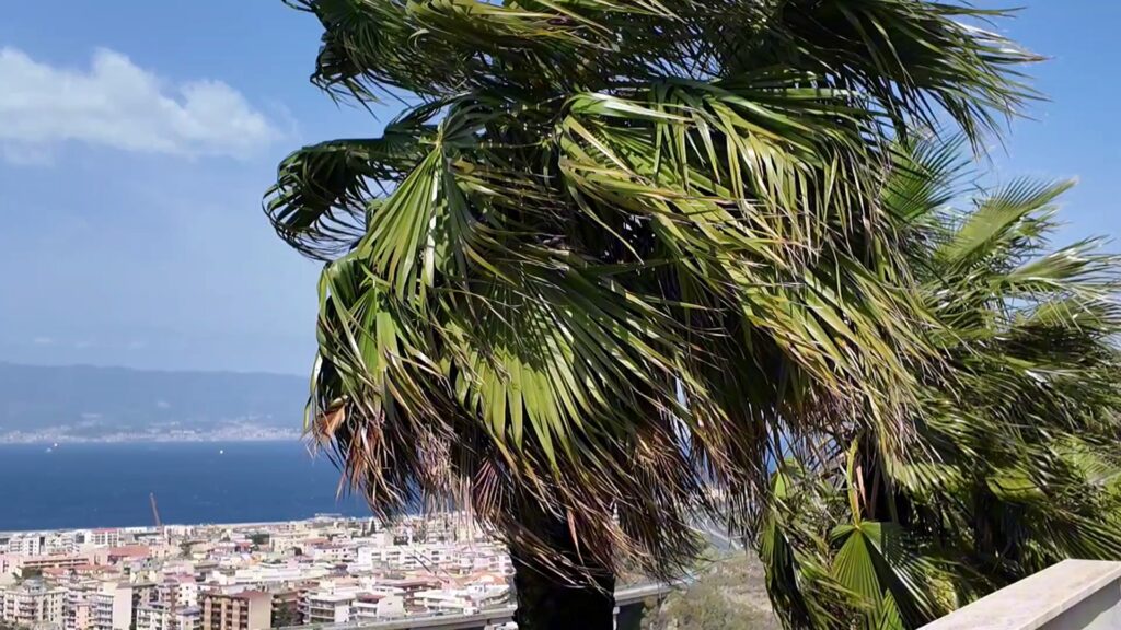 vento stretto messina