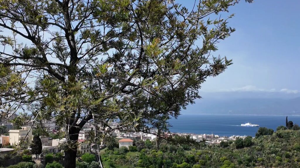 vento stretto messina