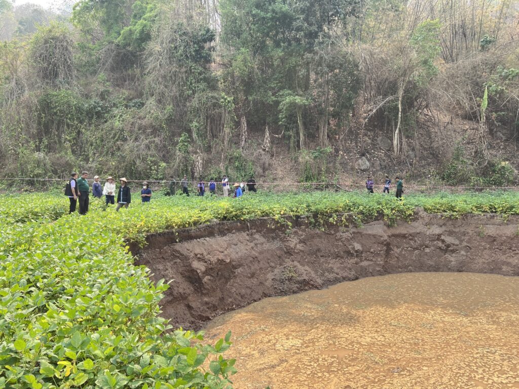 voragini thailandia terremoto myanmar