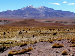 vulcano Uturuncu bolivia