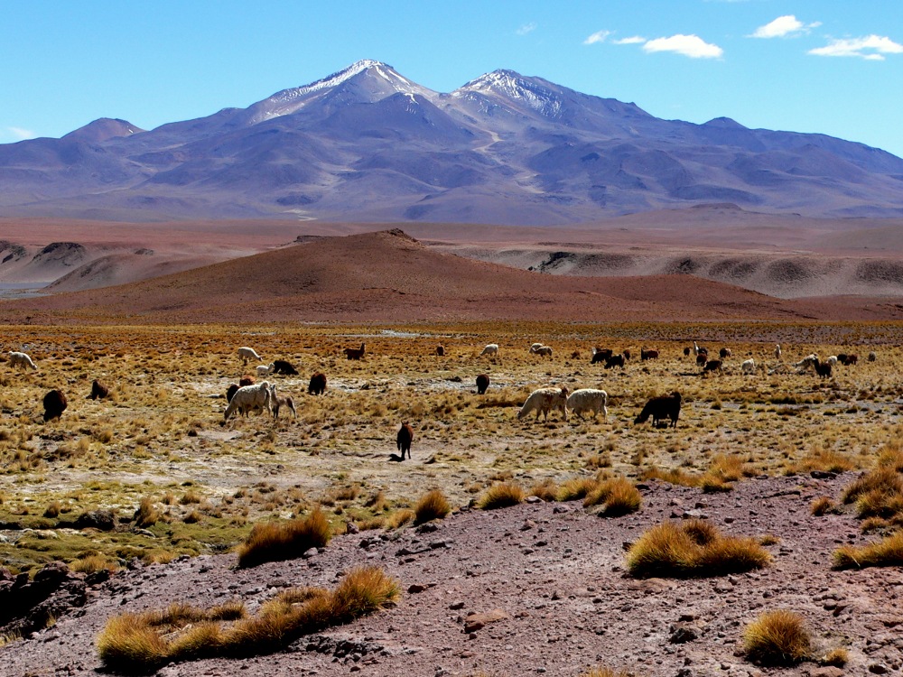 vulcano Uturuncu bolivia