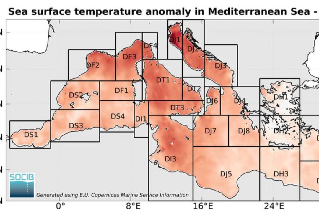 Anomalia termica mar Mediterraneo