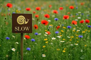 Biodiversità