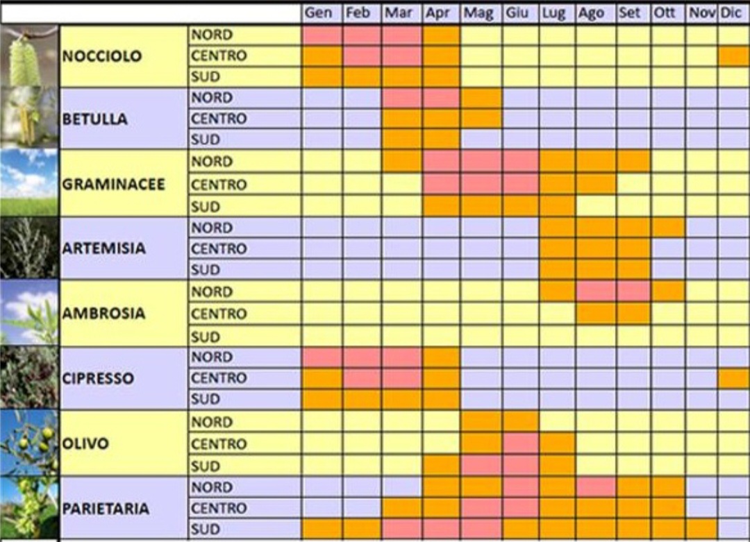 Calendario pollini 2025