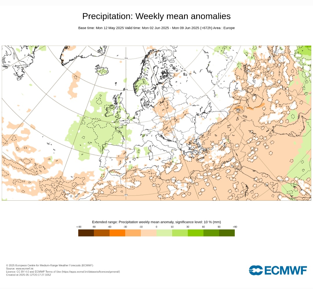 ECMWF anomalie di precipitazioni giugno 2025