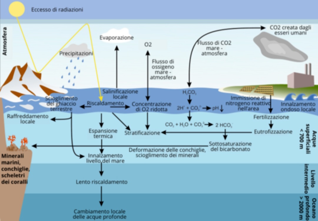 Effetti riscaldamento oceani