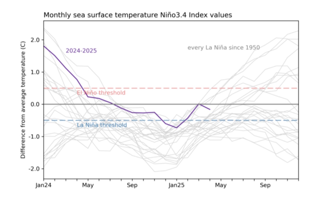 El Niño temperature superficiali