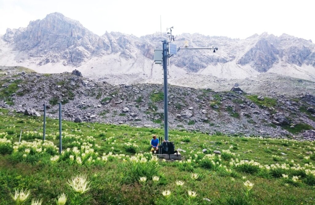 Fioritura precoce Alpi