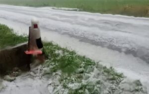 Grandine Emilia Romagna 27 maggio