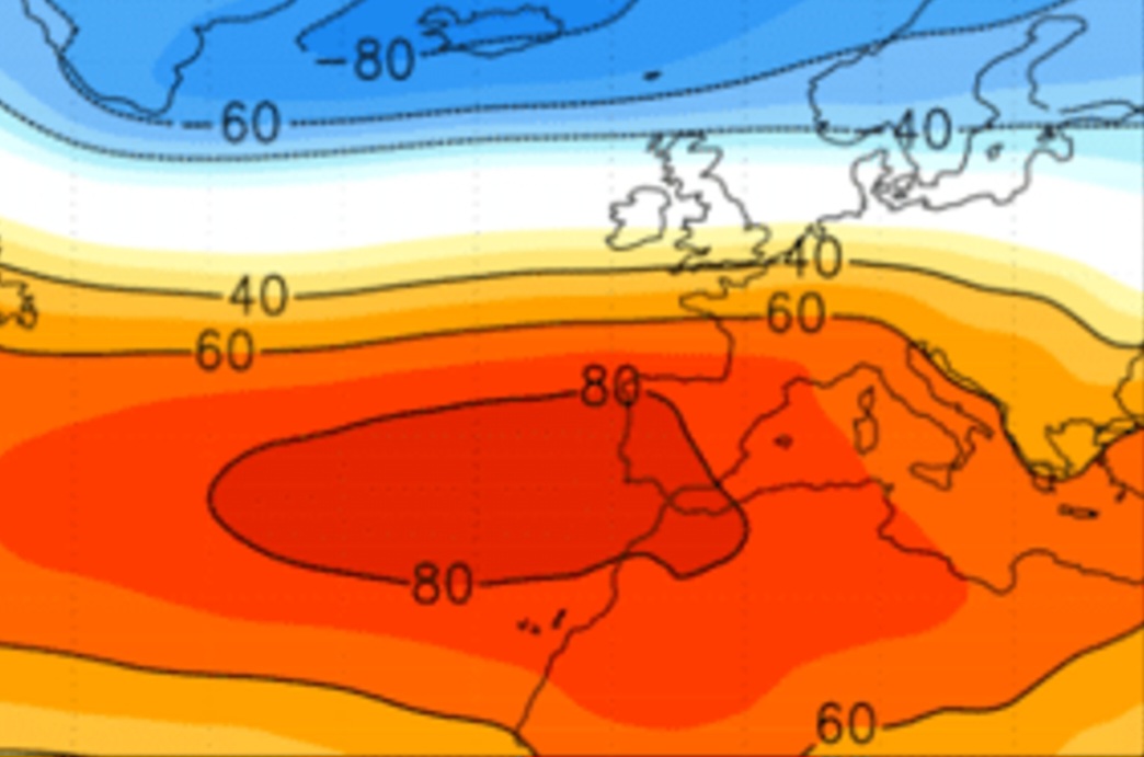 Nao negativa estate 2025
