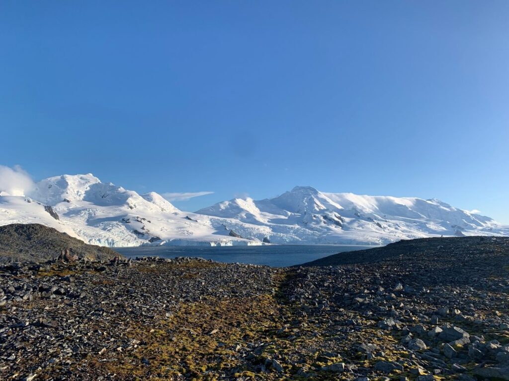 Pinguini antartide