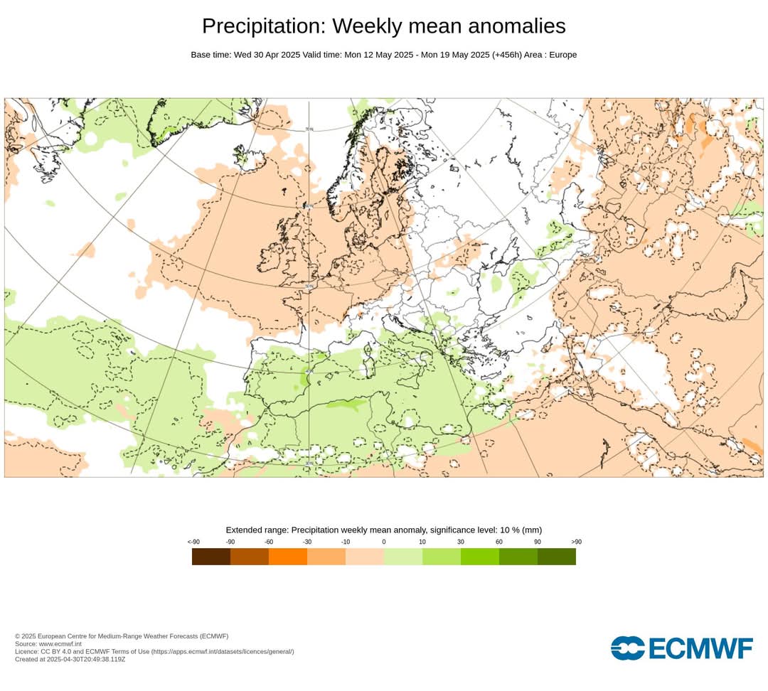 Piogge maggio ECMWF