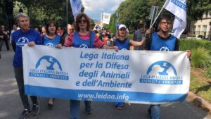 Protesta Verona vivisezione