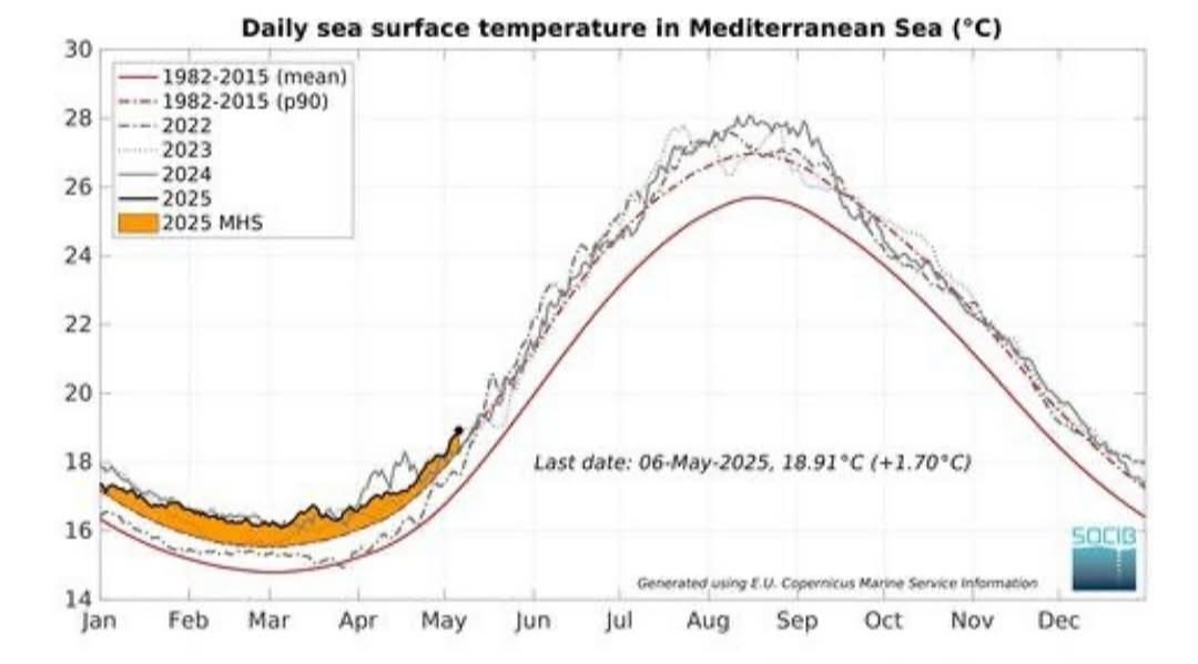 Record temperatura superficiale del Mediterraneo