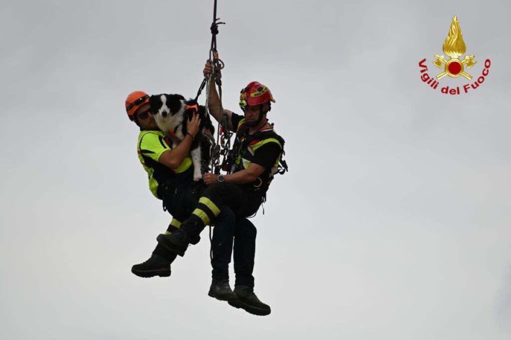 Vigili del Fuoco
