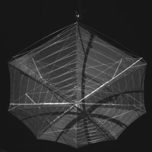 antenna biomass esa