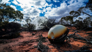 capsula varda
