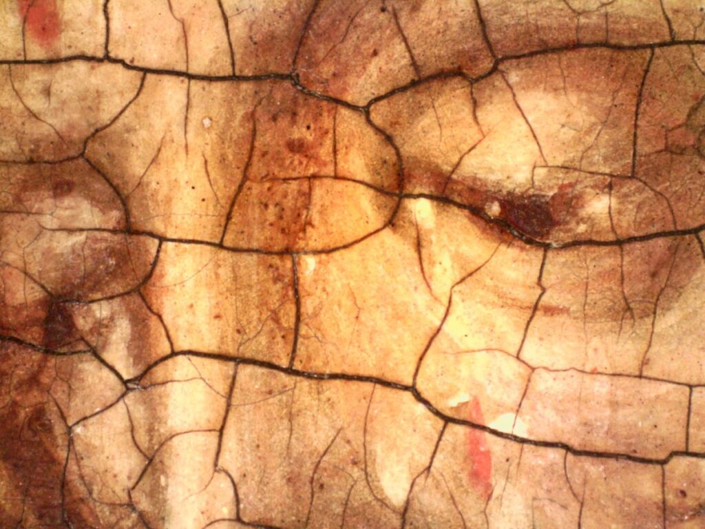 fisica oro scienza icone INFN