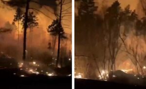 incendi estremo oriente russo amur