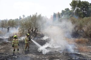 incendi gerusalemme israele