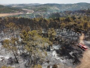 incendi gerusalemme israele