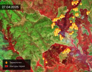 incendi russia siberia