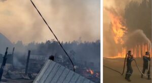 incendi russia